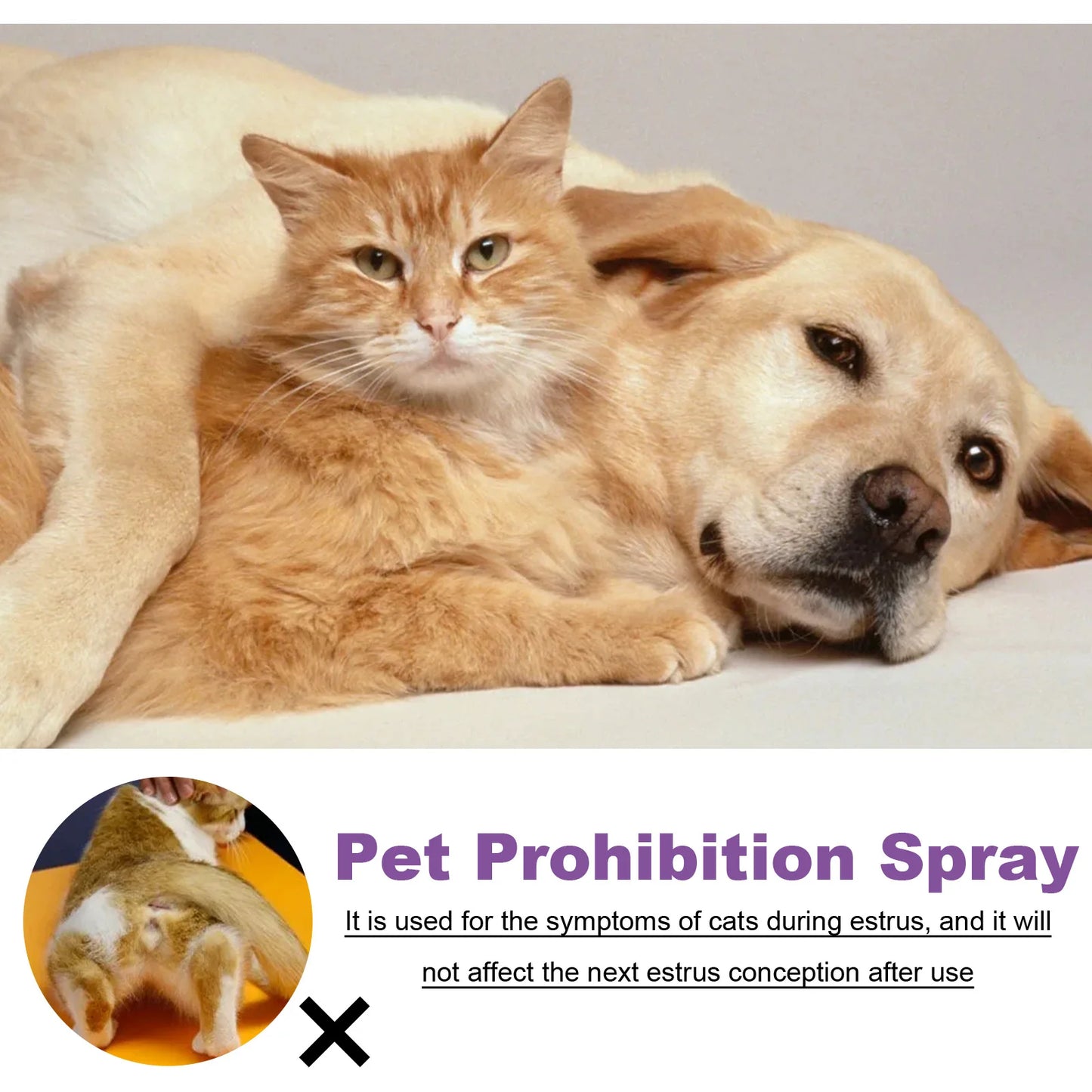 Advanced Pheromone Pet Calming Solution