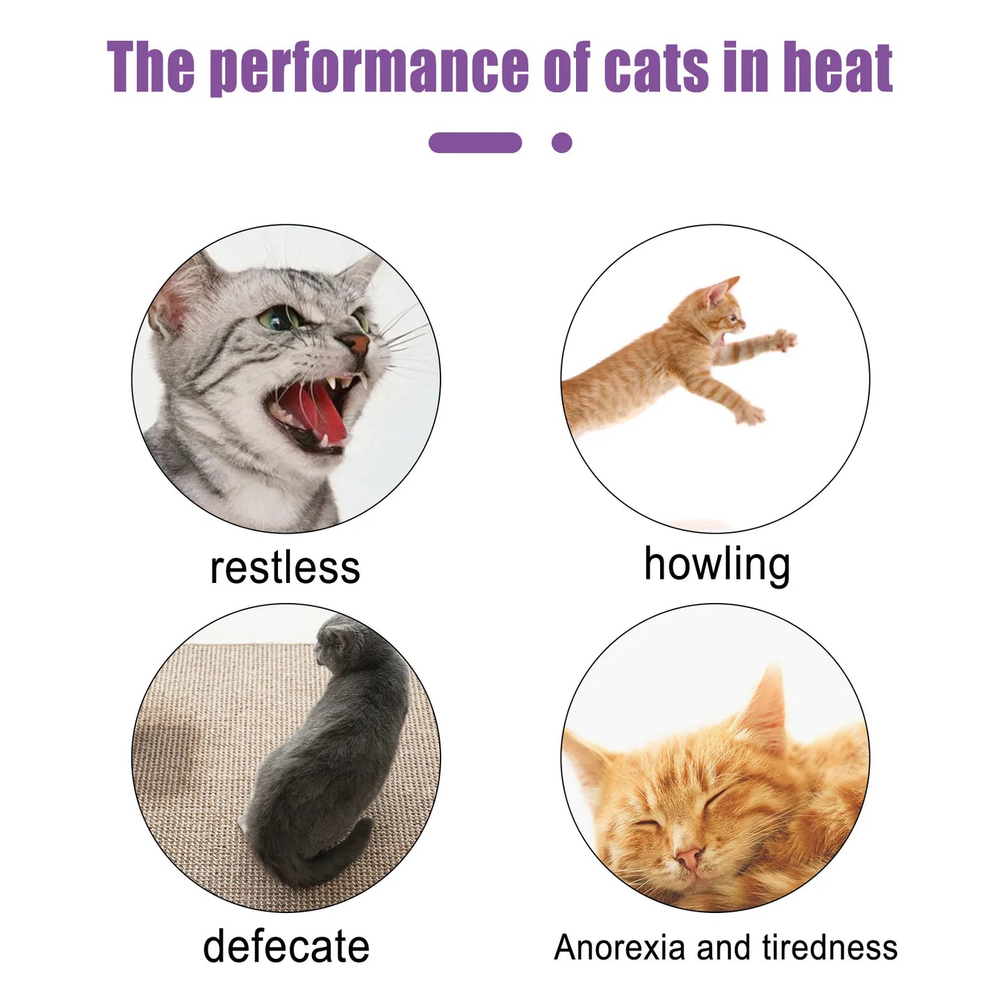 Advanced Pheromone Pet Calming Solution