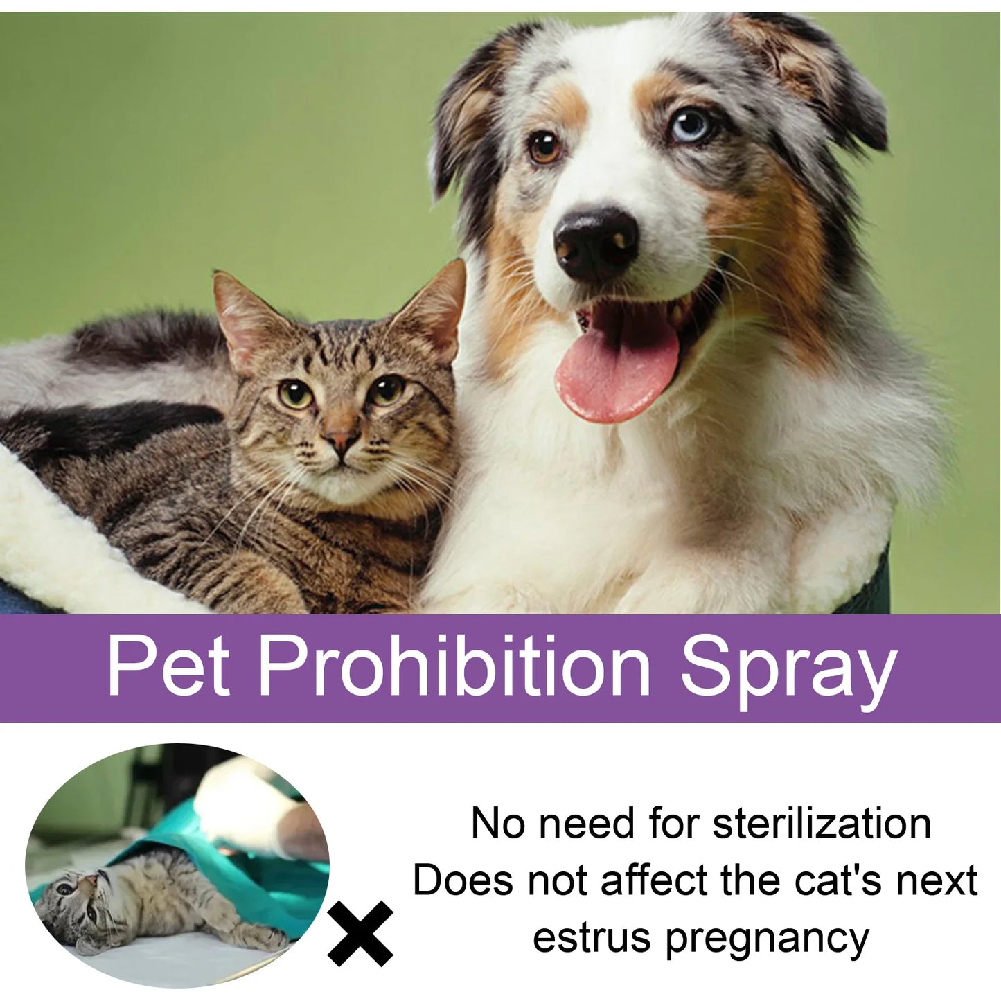 Advanced Pheromone Pet Calming Solution