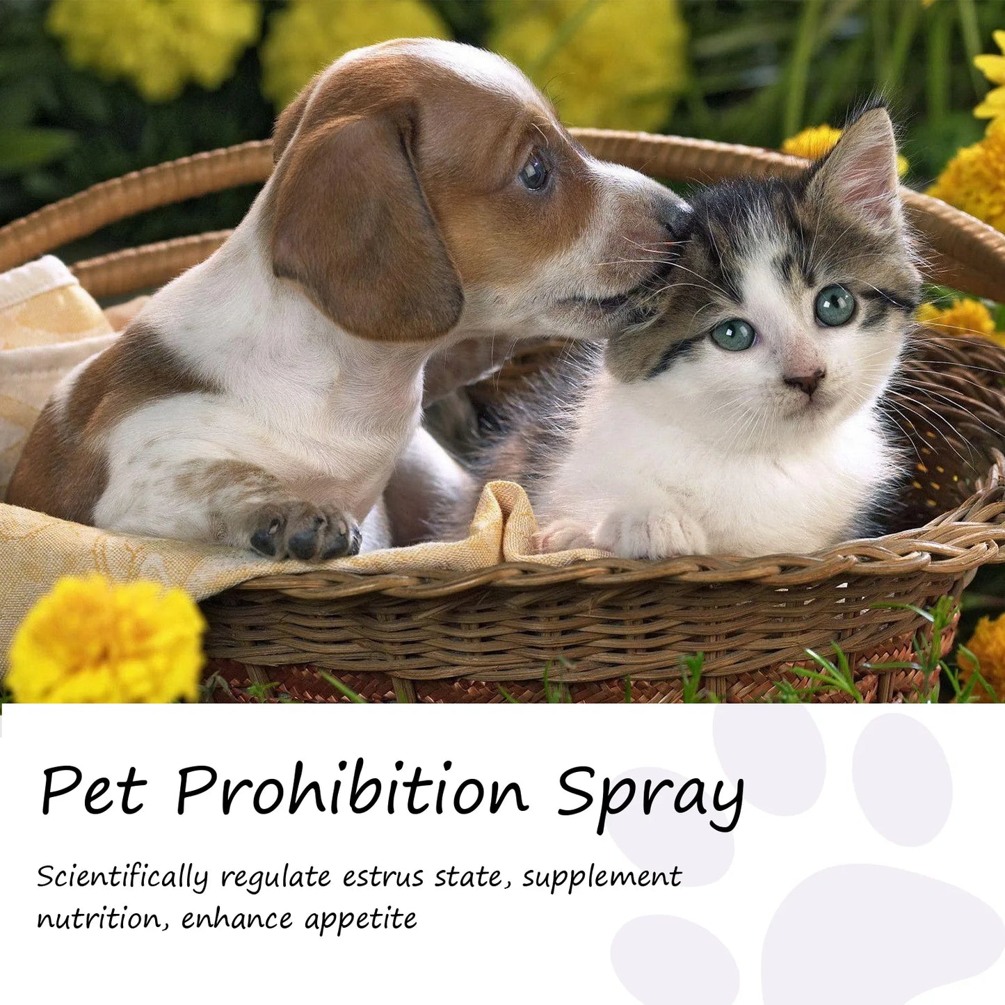 Advanced Pheromone Pet Calming Solution